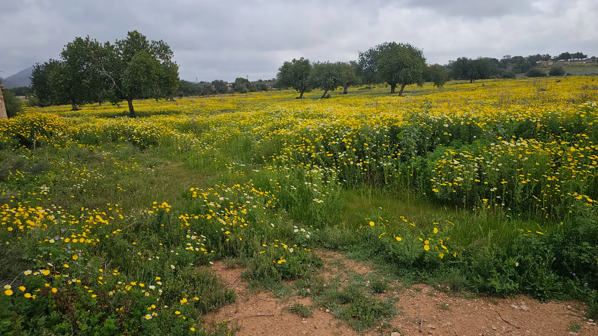 Finca rústica en venta en Marratxí con Aire acondicionado, Calefacción y Jardín privado