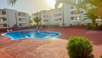 Swimming pool of Flat for sale in Güímar  with Terrace