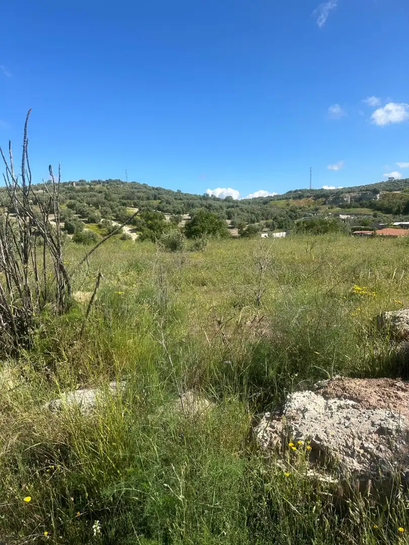Terrain rustique à vendre à Peligros, imagen 3