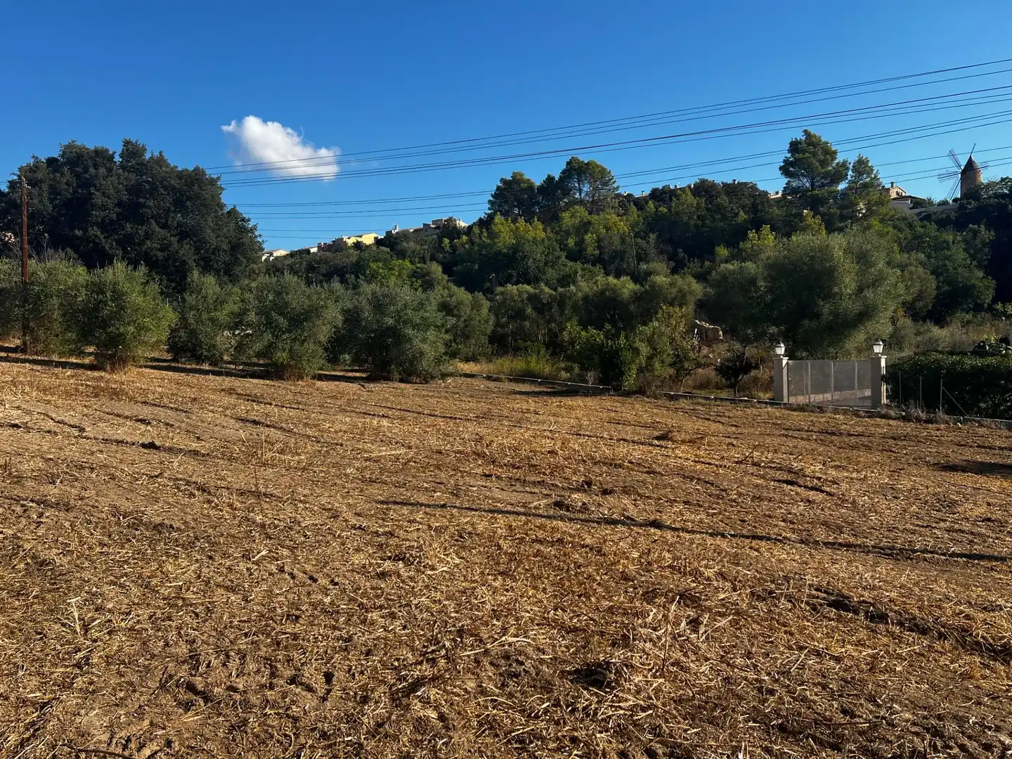 Maison rustique à vendre à Campanet, imagen 7