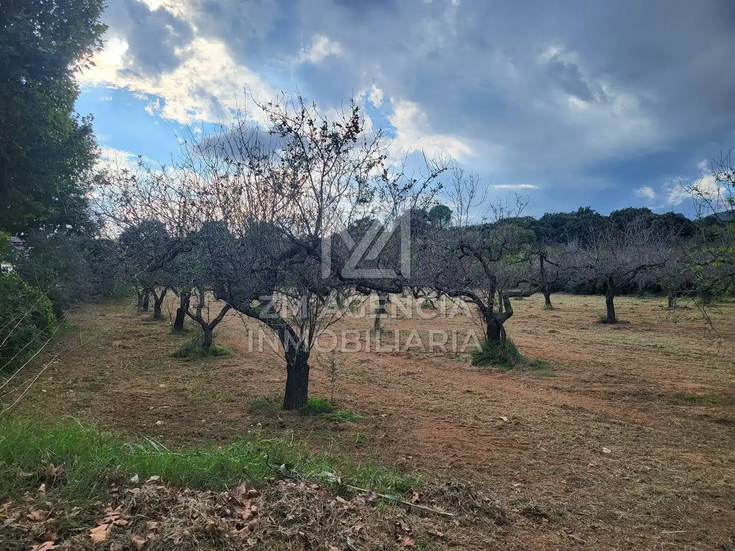 Terreno rustico in vendita a Traiguera, imagen 4