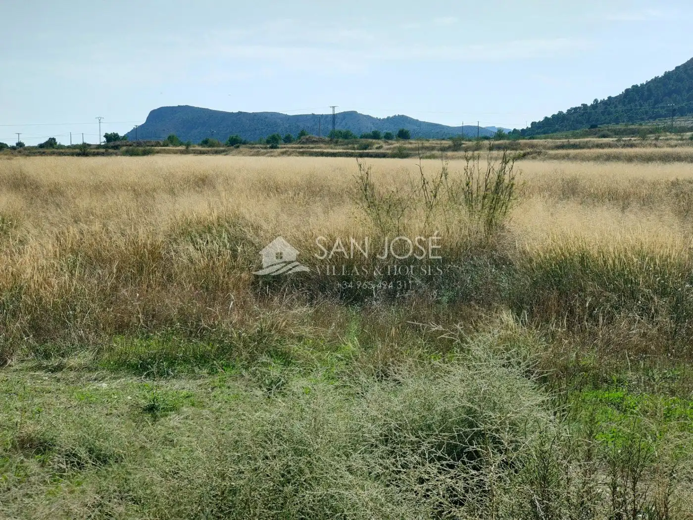 Terreny rústic en venda a La Romana, imagen 5