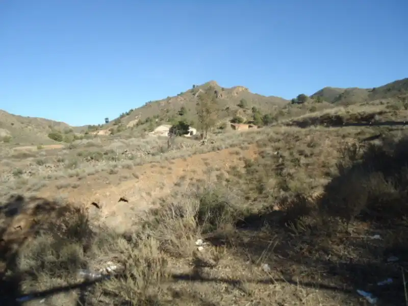 Terreny rústic en venda a Paraje Albozador, imagen 9