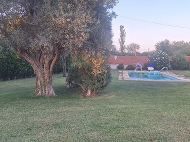 Casa amb piscina en venda a Trigueros del Valle