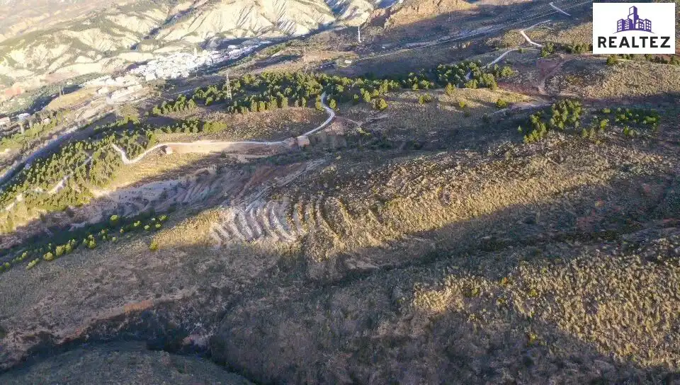 Terrain rustique à vendre à Alcolea, imagen 16