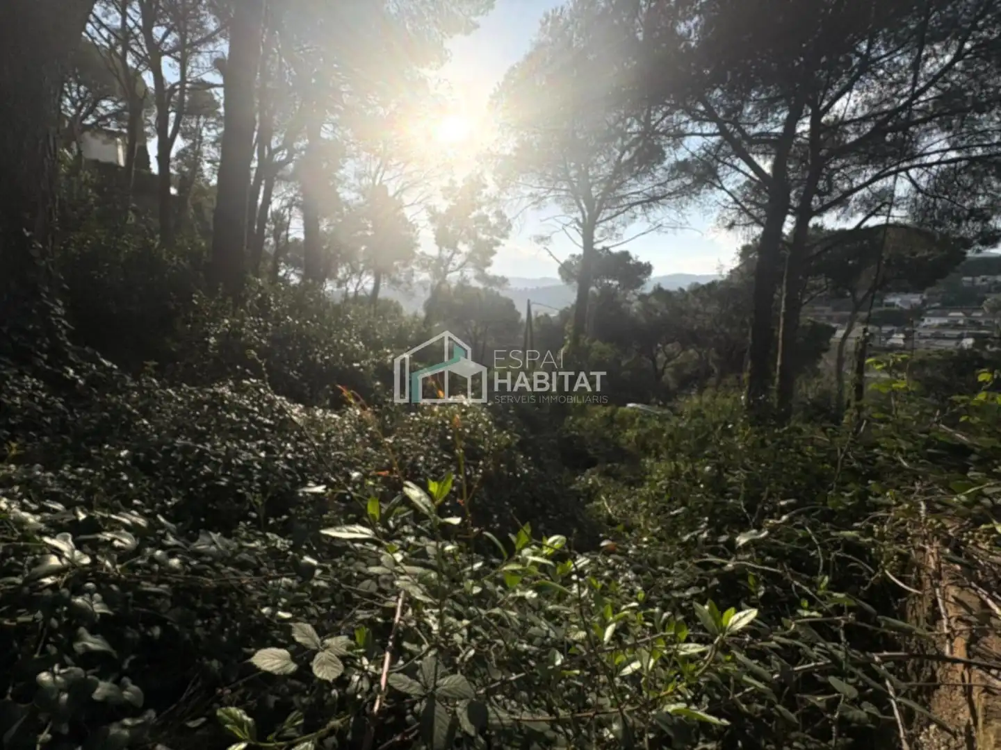 Terreny residencial en venda a Cabrils, imagen 8