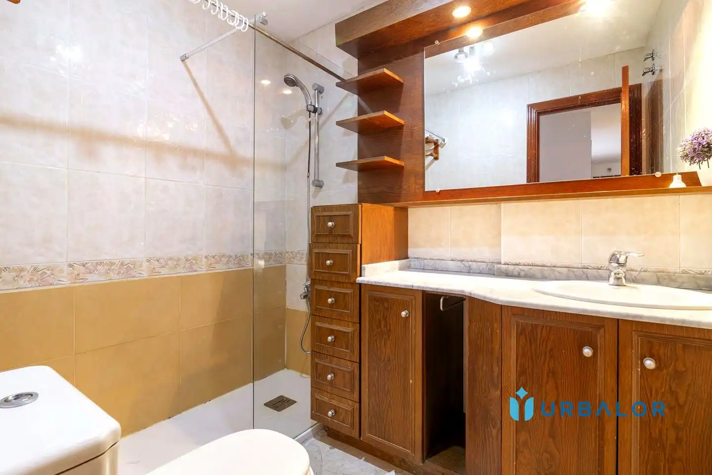 Appartamento con piscina in vendita a pintor rafael botti, imagen 7
