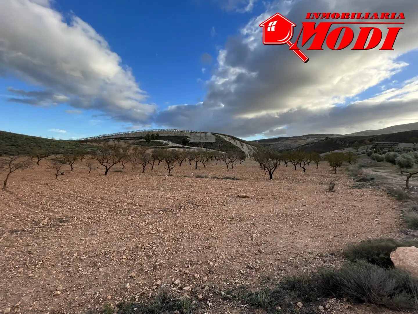 Terrenys i solars en venda a Villamena, imagen 4