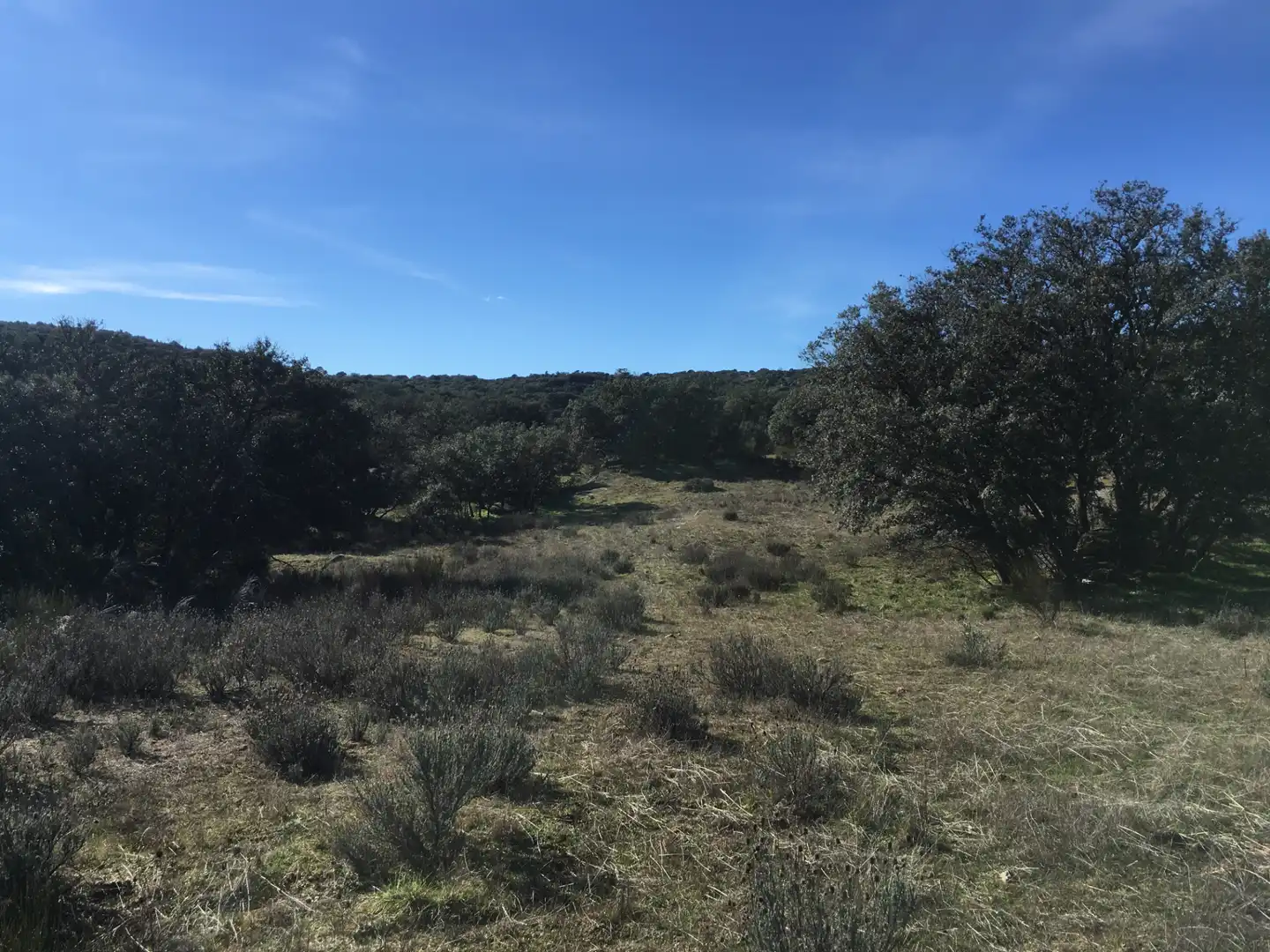 Rural land for sale in Cadalso de los Vidrios, imagen 18