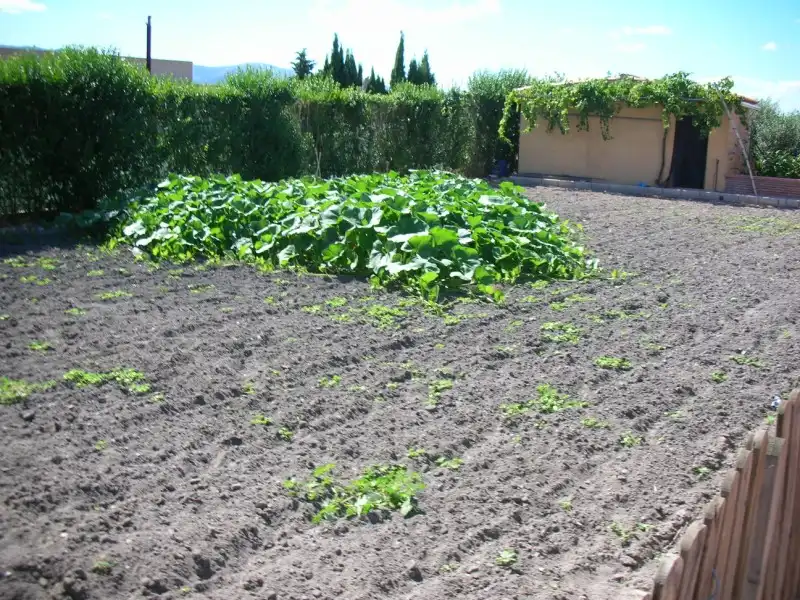 Jardín de Finca rústica en venta en La Ràpita con Jardín privado, Piscina y Alarma