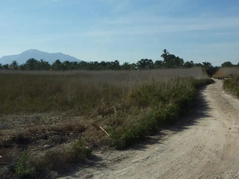 Terreno rustico in vendita a Calle Valle Inclán 7, imagen 7