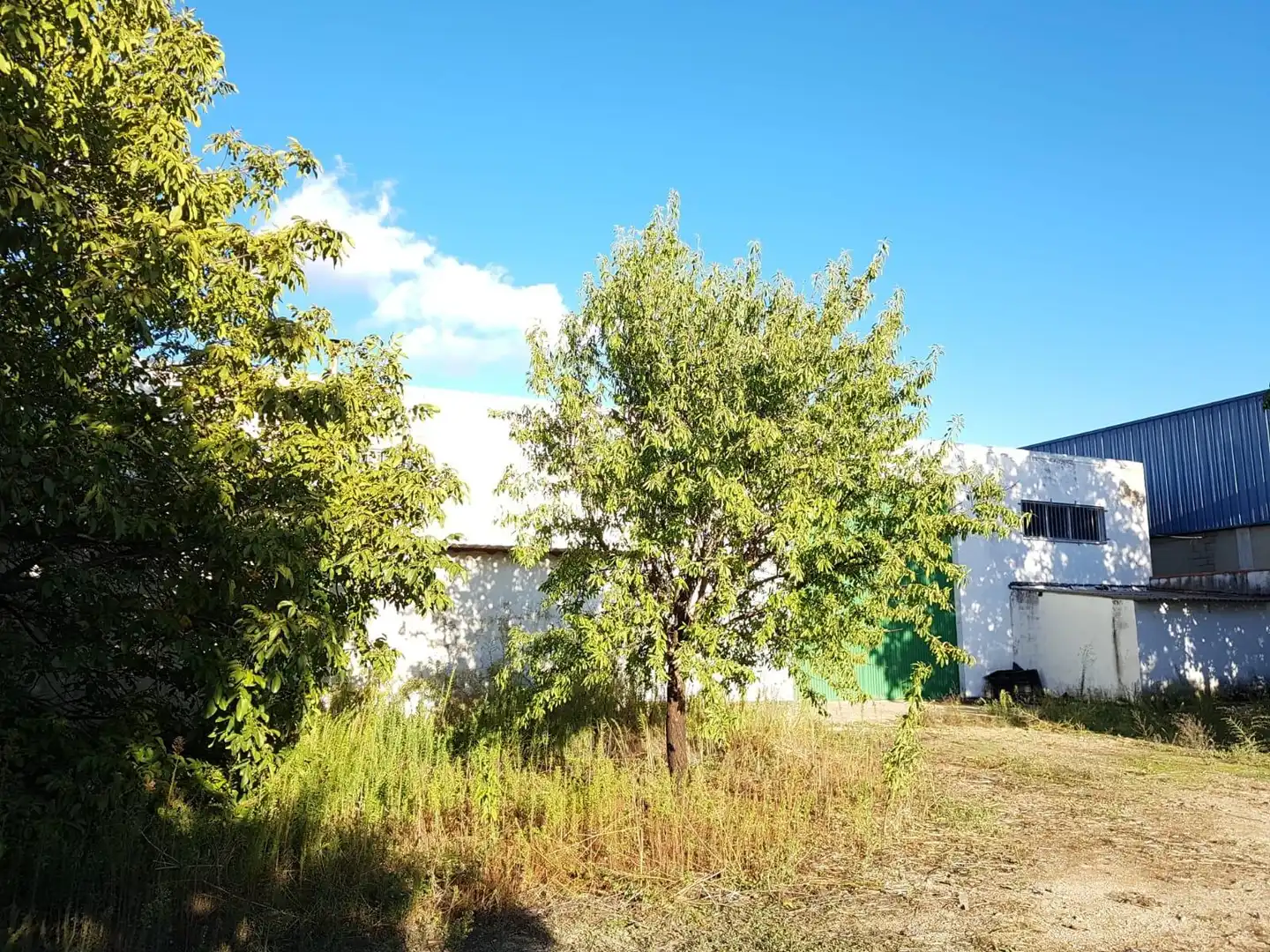 Industrial buildings for sale in Palencia