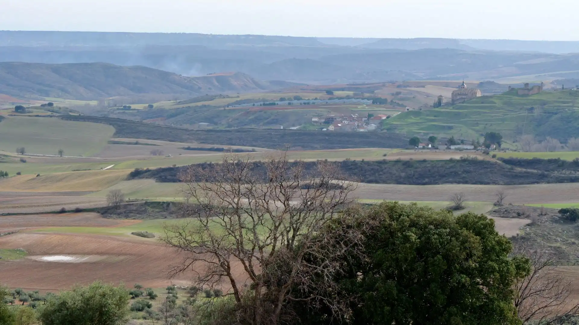 Exterior view of Land for sale in Arbancón