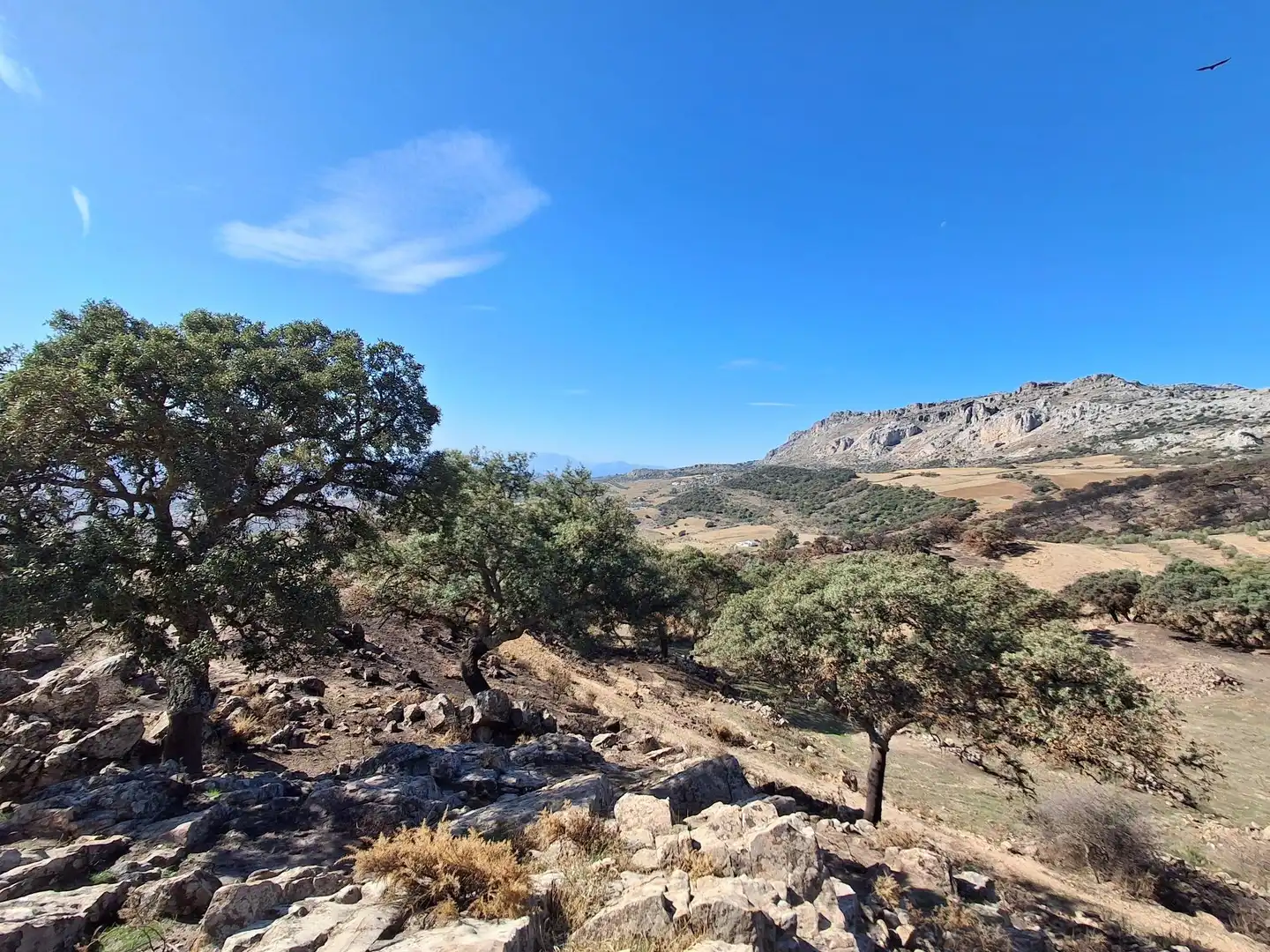 Terreni e lotti in vendita a Villanueva de la Concepción, imagen 19