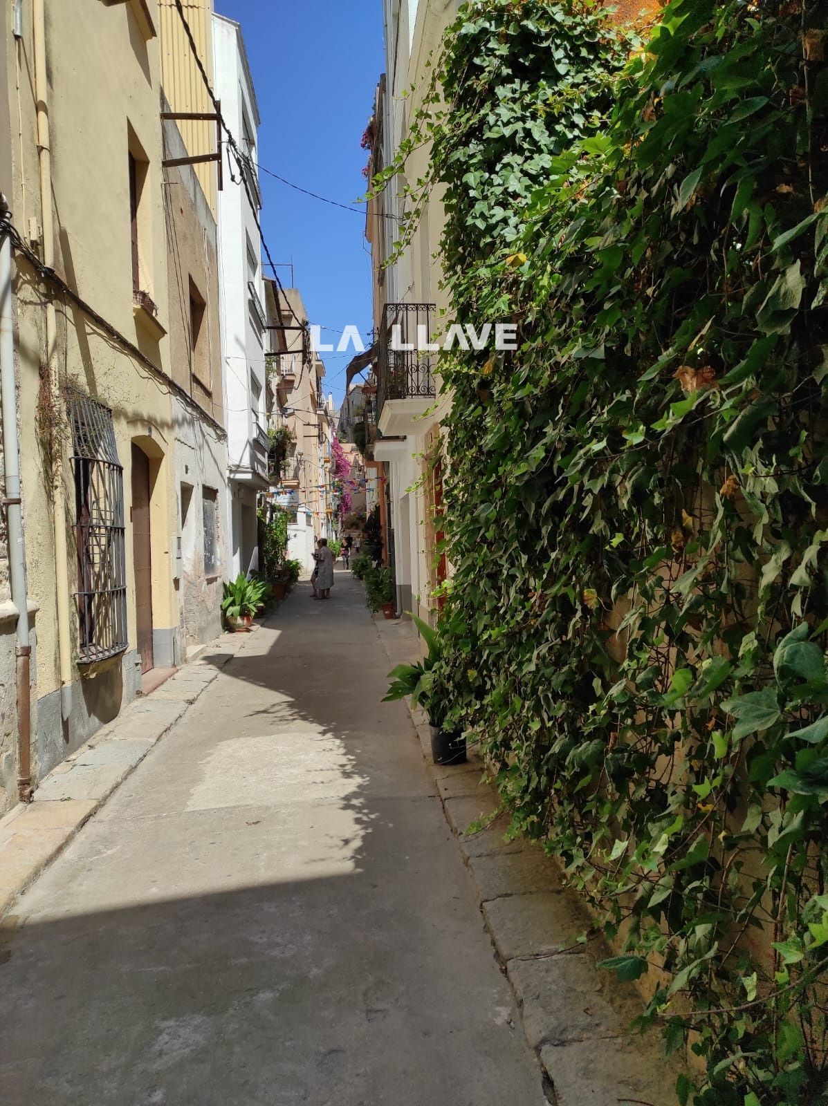 Vista exterior de Terreno en venta en Blanes