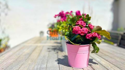 Foto 4 de Casa adosada en venda a Piverd - Vila-Seca - Bruguerol, Palafrugell