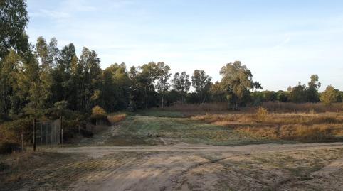Foto 5 de Finca rústica en venda a N/a, -1, Almonte ciudad, Almonte
