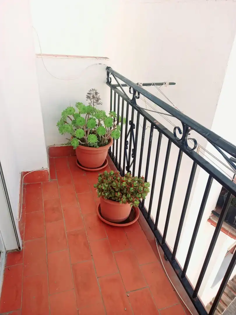 Maison avec jardin à vendre à Canillas de Aceituno, imagen 43