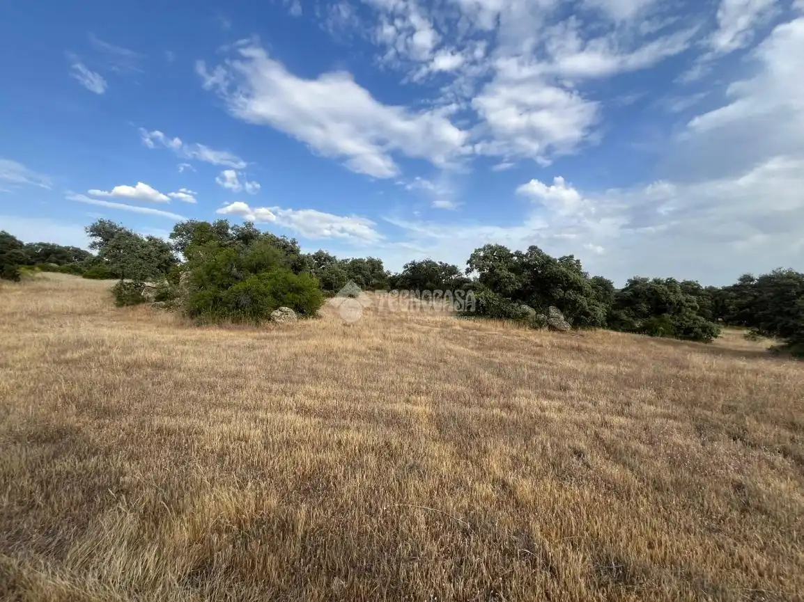 Terreno en venta en Santa Ana de Pusa