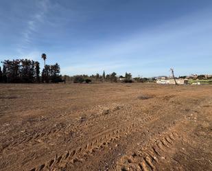 Land for sale in Elche / Elx