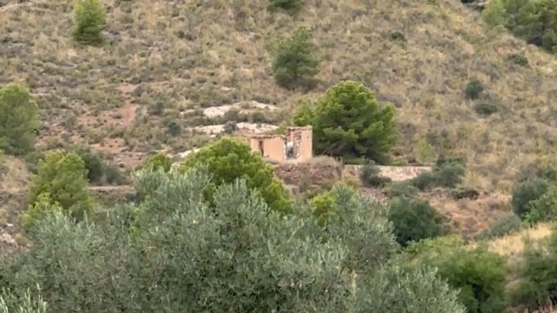 Country homes for sale in Lorca  with Private garden