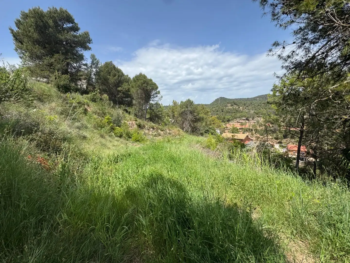Residential land for sale in La Pobla de Claramunt, imagen 2