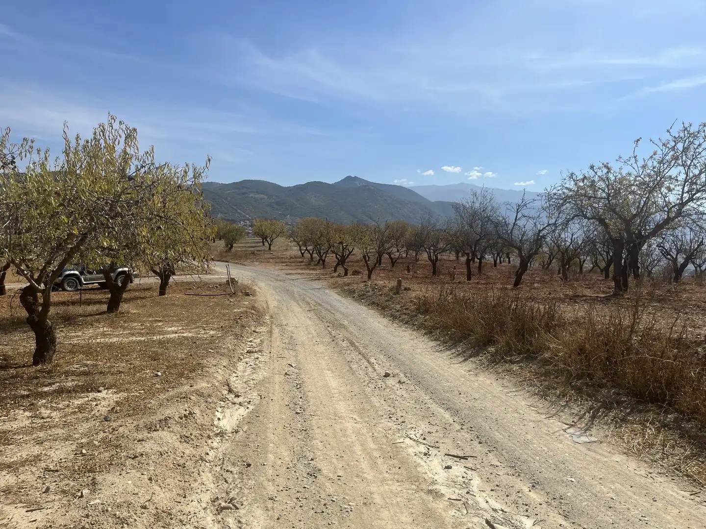 Rustikales Grundstück zum Verkauf in Avenida de Andalucía, imagen 13