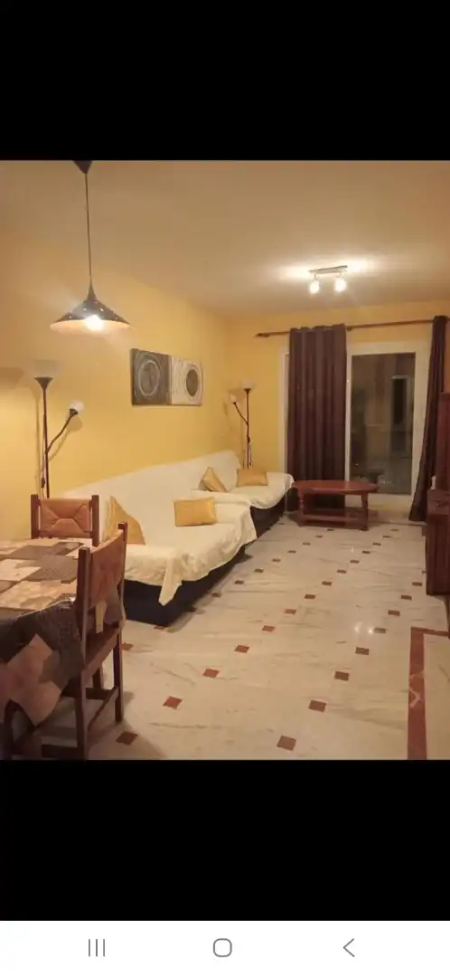 Piso de alquiler en Avenida del Doctor Manuel Domínguez, El Tejar - Hacienda Bizcochero