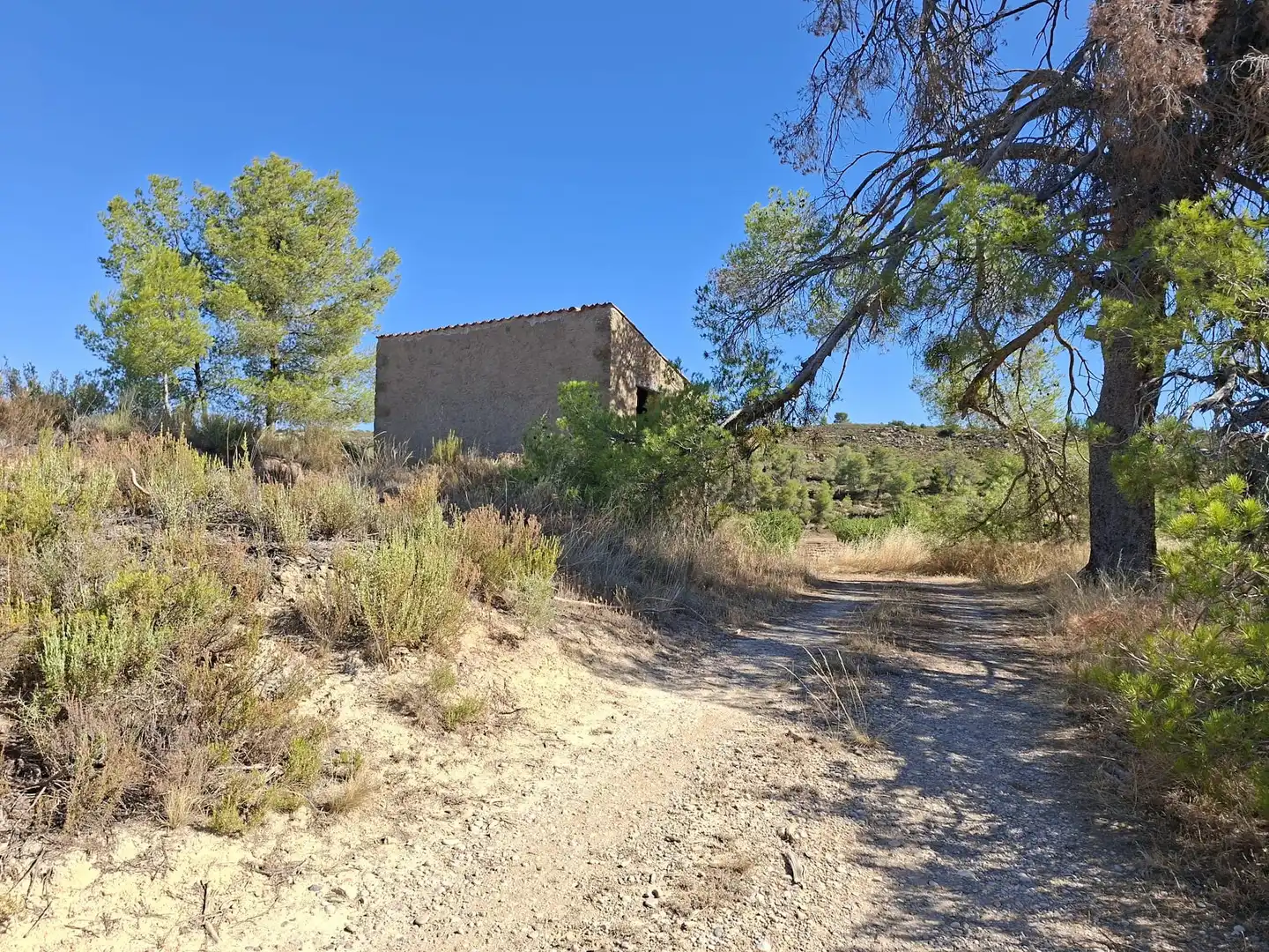 Finca rústica en venta en Maella