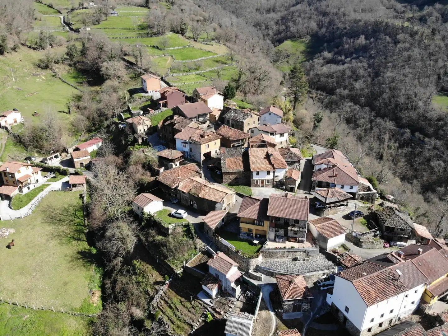 Exterior view of Houses for sale in Aller  with Private garden and Storage room