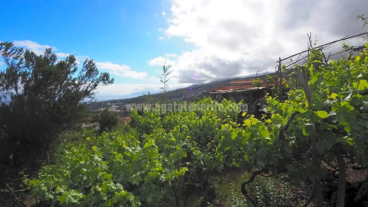 Lands and plots for sale in La Vega - El Amparo - Cueva del Viento, imagen 13