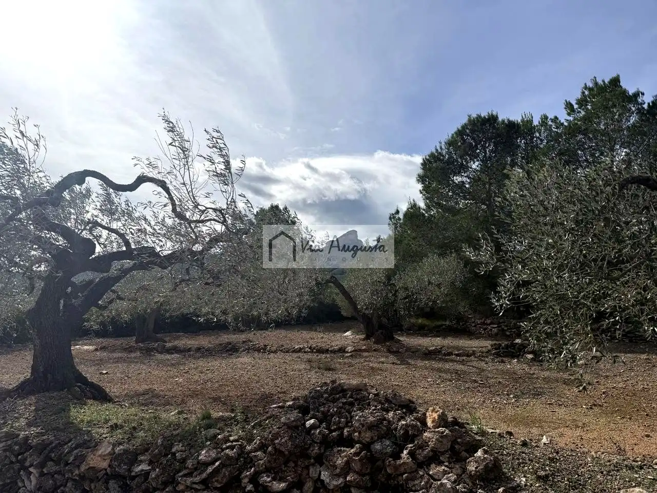 Finca rústica en venda en El Perelló