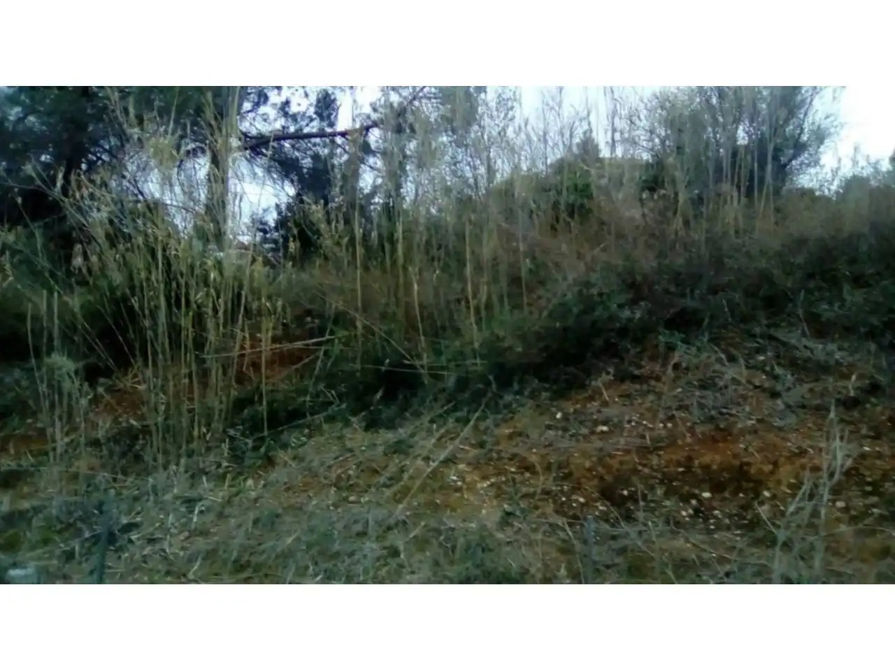 Terreny rústic en venda a Ponent, imagen 3