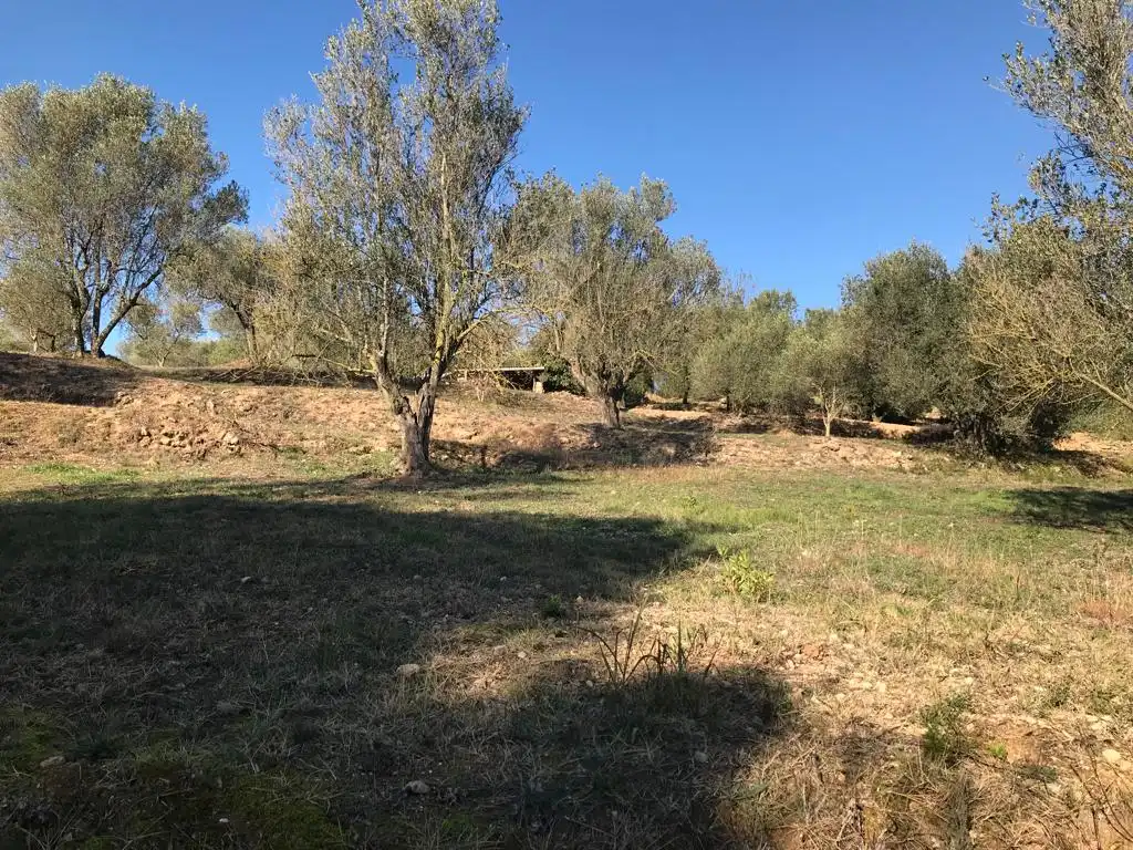 Terrain rustique à vendre à El Bruc, imagen 17
