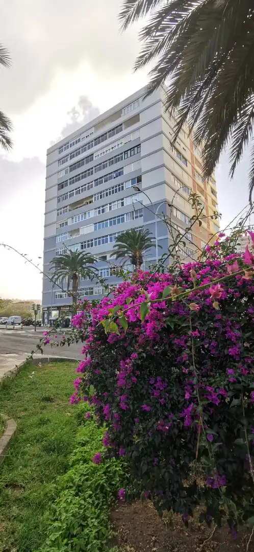 Vista exterior de Pis en venda en Las Palmas de Gran Canaria