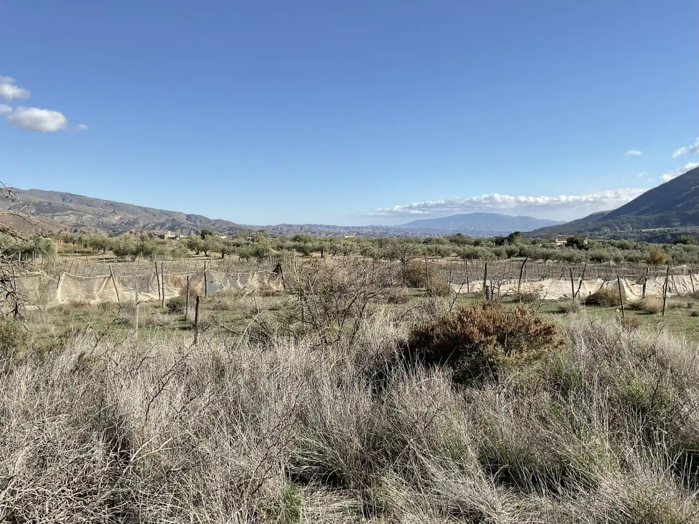 Land for sale in Padules