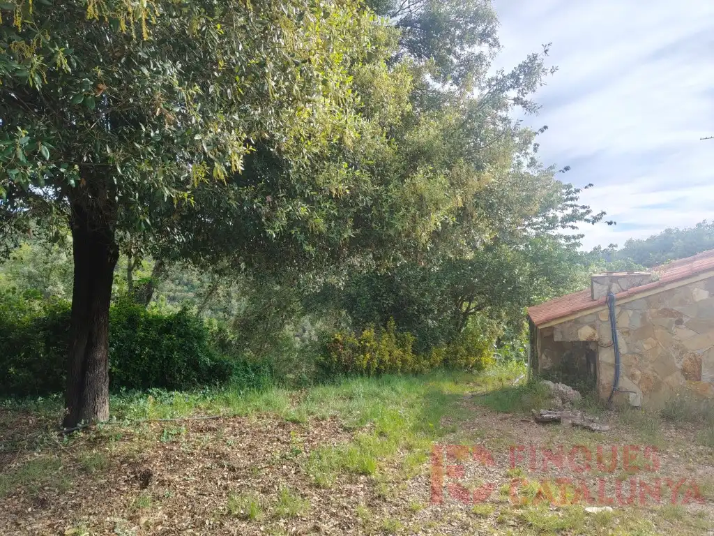 Maison avec piscine à vendre à Urbanizacion Sta Ceclina, imagen 27