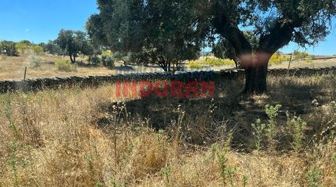 Foto 4 de Casa o xalet en venda a Alía, Cáceres
