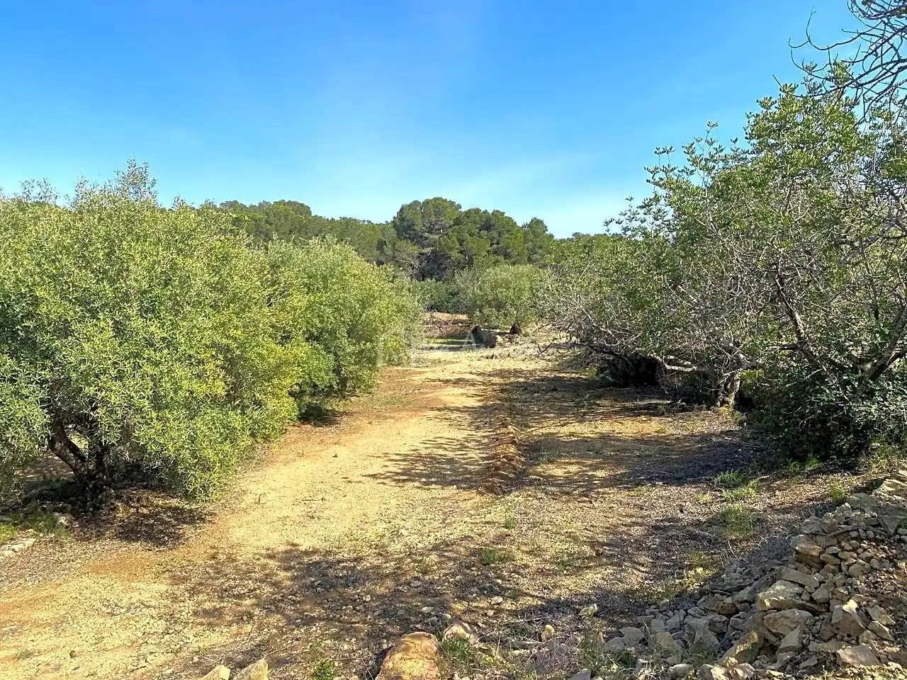 Terreno rustico in vendita a Puig Moltó, imagen 18