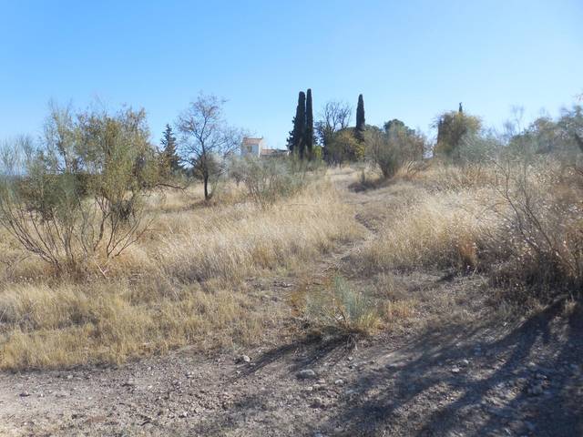 Terreno residencial en Venta en  Polígono 10 Paraje 79 RIEGOS DE MORALEDA en Moraleda de Zafayona