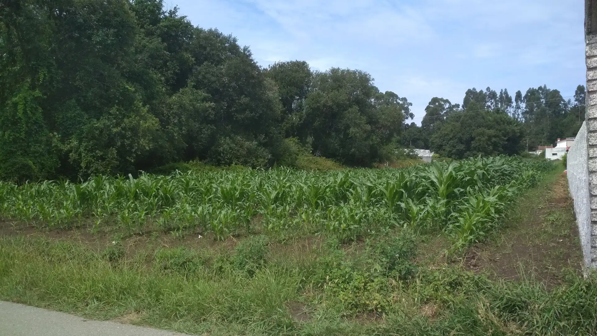 Terreno en venta en Ribadumia