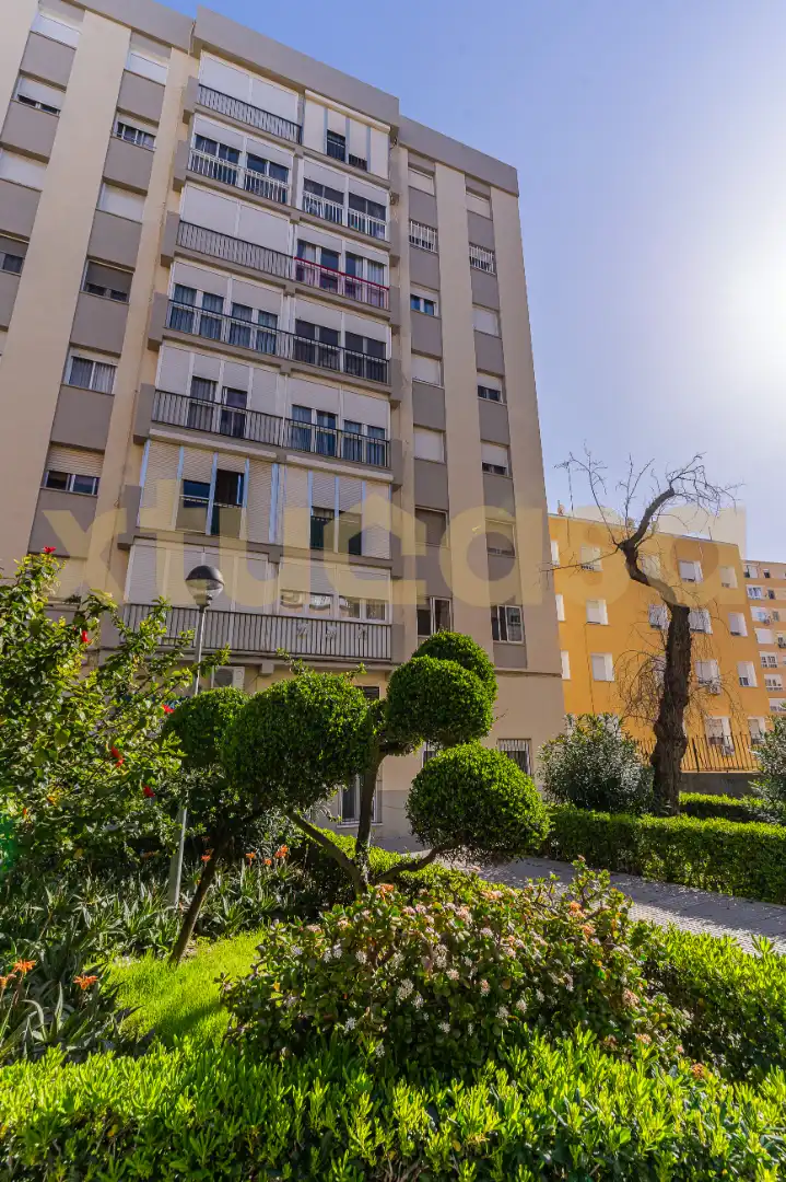 Apartamento en venta en Avenida San Severiano, Astilleros - La Paz - Loreto - El Corte Inglés