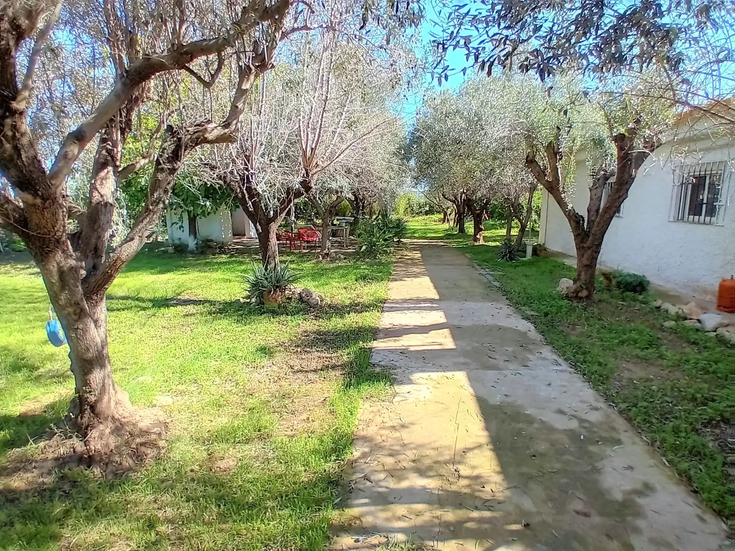 Casa o xalet en venda en Cheste amb Jardí privat i Terrassa