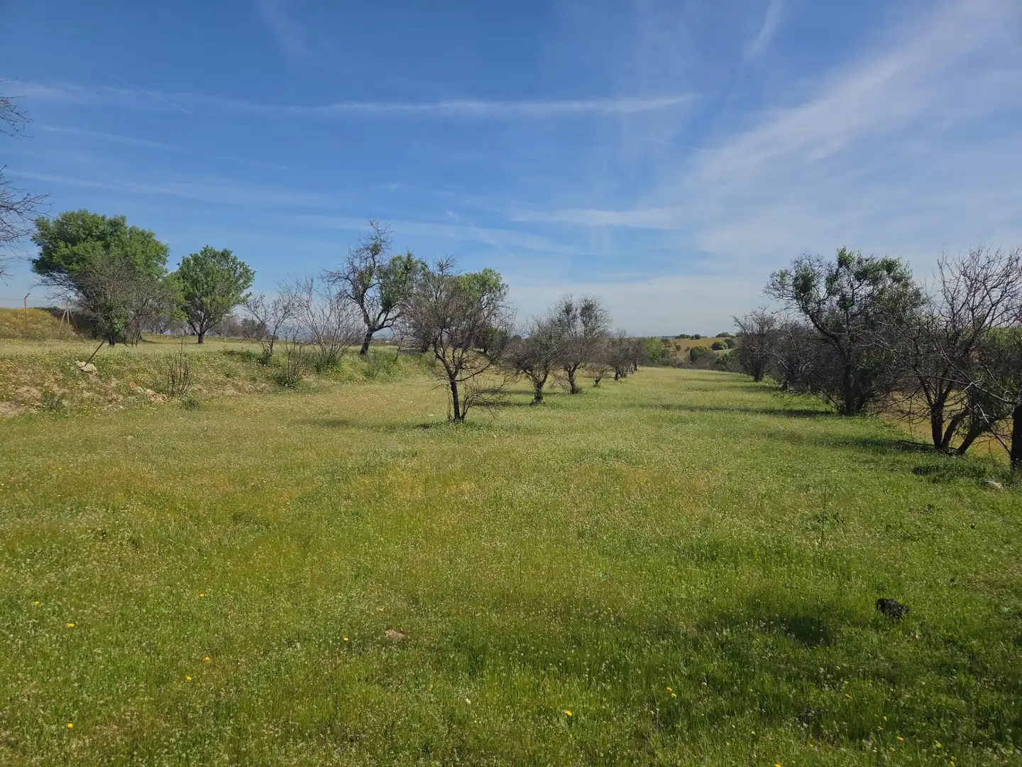 Finca rústica en venta en Navalcarnero