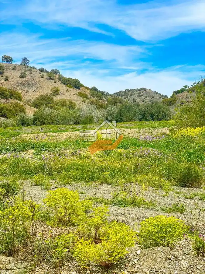 Casa rústica en venta en Vélez-Rubio, imagen 19
