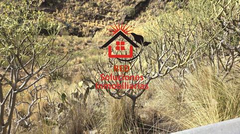 Photo 3 of Land for sale in Anaga,  Santa Cruz de Tenerife Capital