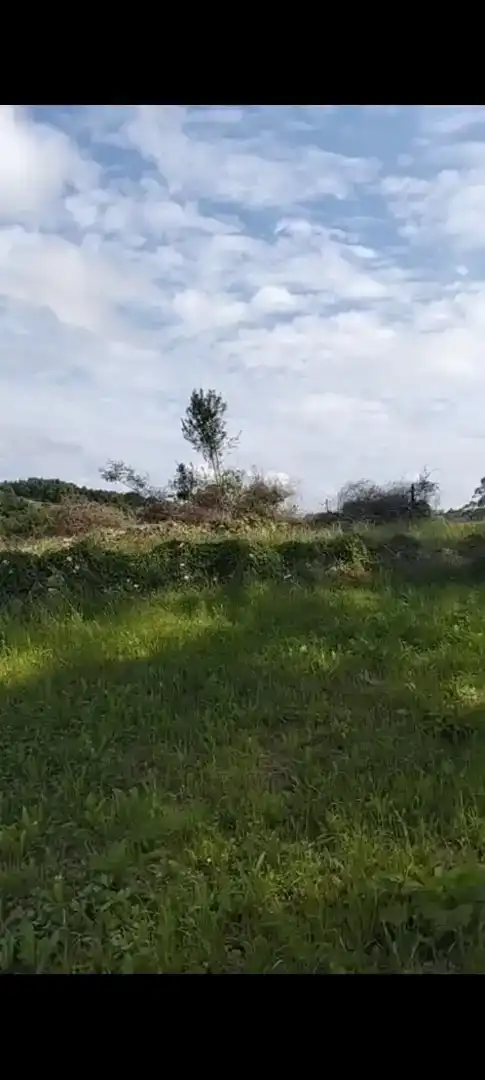 Finca rústica en venta en Valdáliga