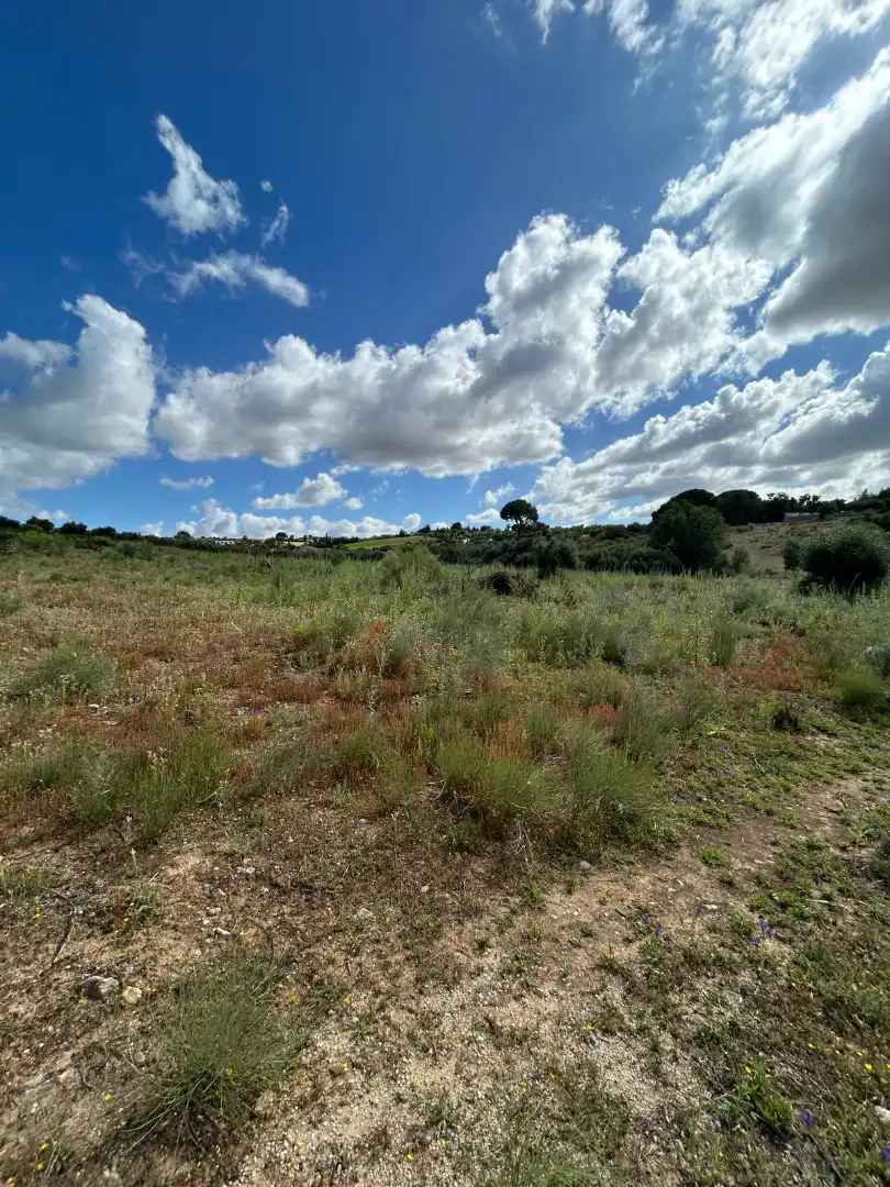 Terrain rustique à vendre à Arcos de la Frontera, imagen 9