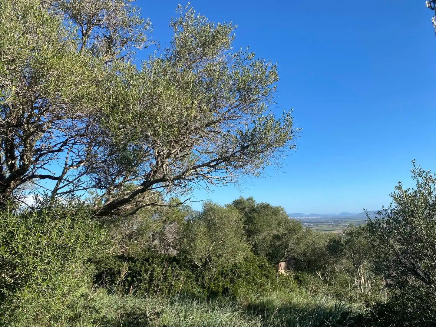 Grundstücke zum Verkauf in Santa Eugènia