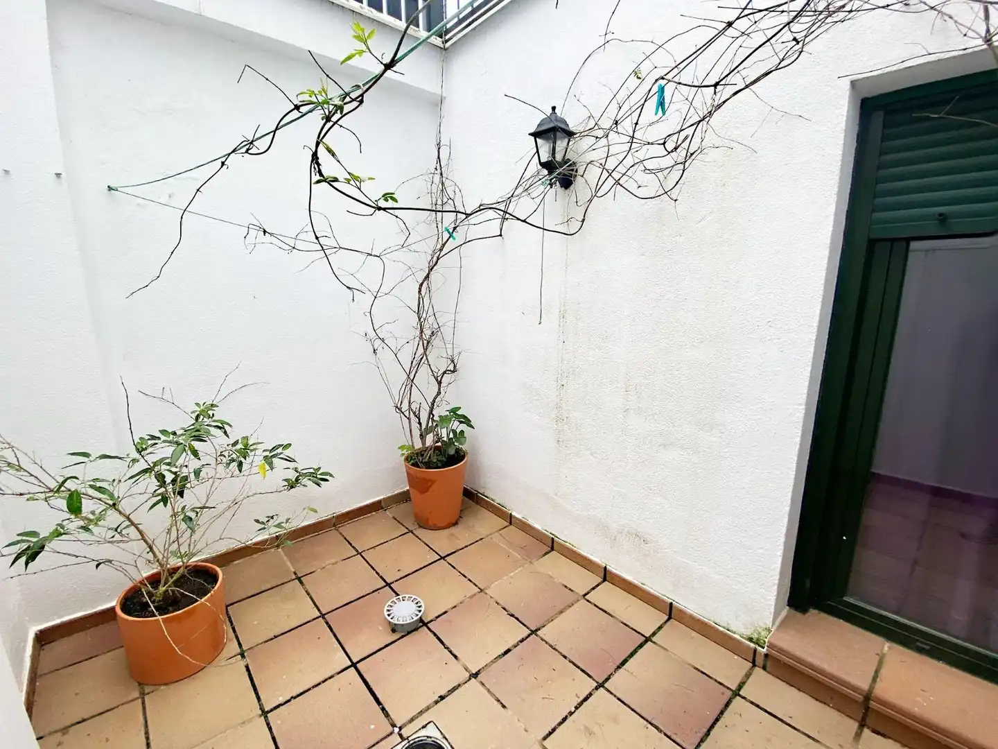 Casa amb terrassa en venda a Calle El Ejido, imagen 25